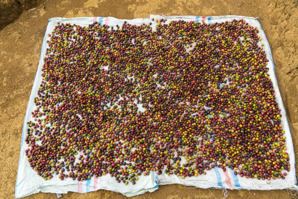 阿拉比卡咖啡豆图片下载