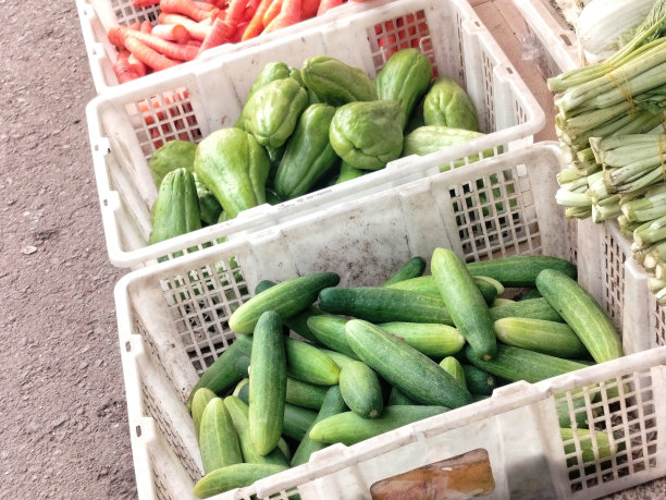 篮子里的蔬菜照片图片下载