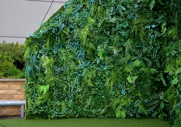 酒店大堂、办公室的绿色植被柱。在头顶的照明下，卤素照射在植物上进行光合作用。复杂的灌溉泵和软管系统可以用塑料花代替图片下载