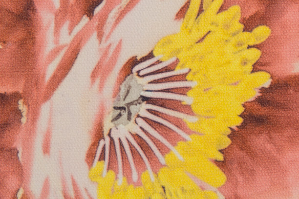 壁纸背景图片下载