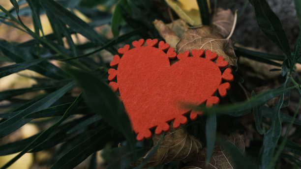 点缀在树叶间的红心图片下载