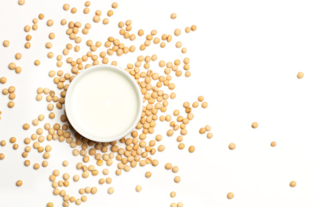 一碗豆浆和一堆大豆在白色背景与复制空间图片下载