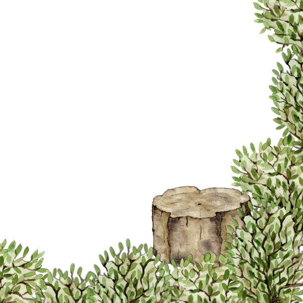 林中林中有一个树桩休息。水彩插图图片下载