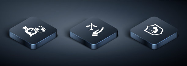 设置等距货币与盾牌，人寿保险和飞机手图标。向量图片下载