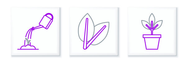 在花盆里设置鲜花，用水浇灌罐和叶子图标。向量图片下载