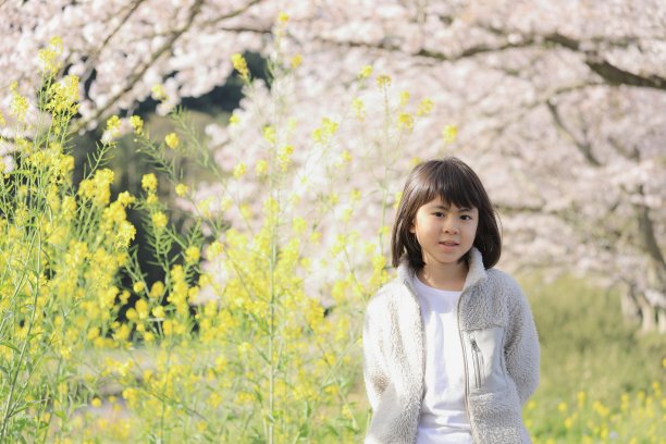 日本女学生与樱花和芥菜(8岁)图片下载