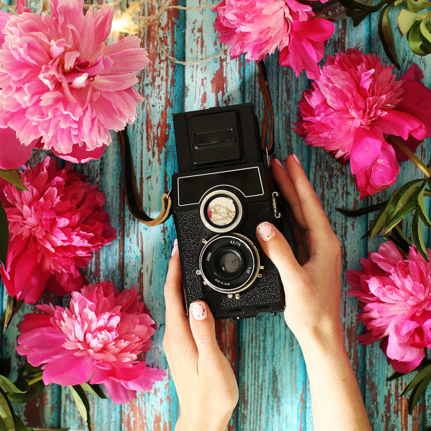 手持旧经典怀旧盒相机与粉红色的pions复古破旧别致的背景图片下载