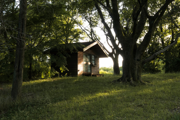 森林里的小屋图片下载