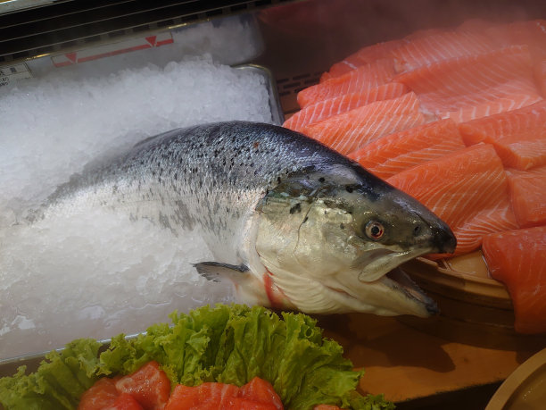 新鲜的生三文鱼图片下载