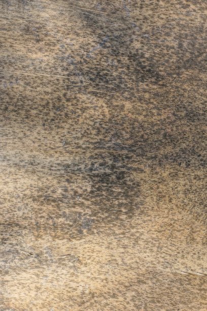 木材纹理由棕色胶合板在灰色脏图片下载