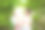 身穿日本传统和服或浴衣的年轻女子站在长满竹子的花园里。图片下载