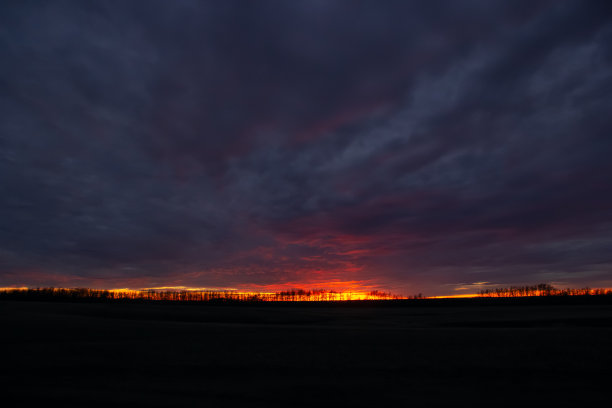 戏剧性的紫色和橙色日落与树木在地平线上的草原。图片下载