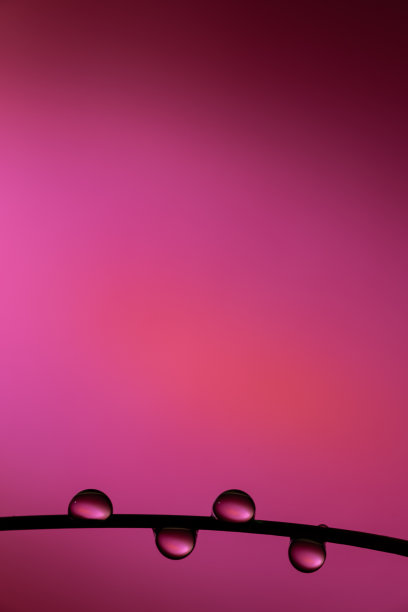 美丽的水滴图片下载