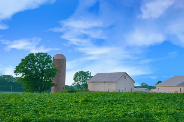 日出时的老谷仓和玉米地——印第安纳州北部图片下载