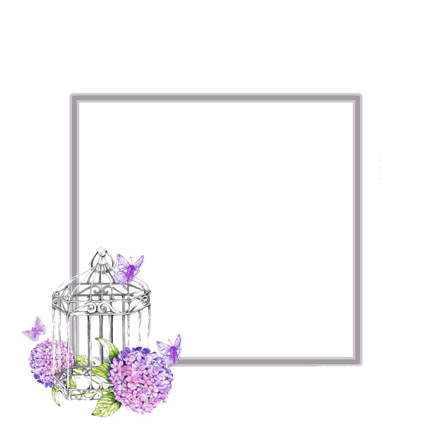 一套水彩插图。蓝蝴蝶，荷花，树叶，手。设计及明信片图片下载