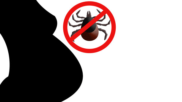 一个怀孕的女孩的剪影和一个勾勾图标在一个白色的背景。象征着与带有脑炎寄生虫的蜱虫作斗争。孤立。图片下载