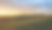 在家菜园里种菜。家庭园艺。日落时的风景。图片下载
