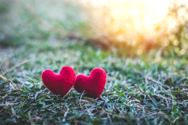 两颗红心在草地上和绿草地上感觉情人节的浪漫。图片下载