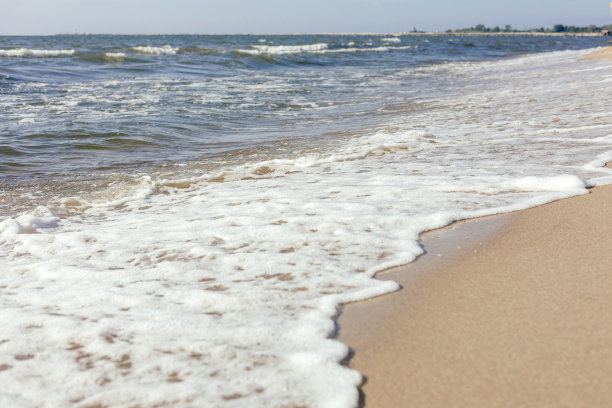 沙滩游隼与海泡沫与文字的空间。图片下载