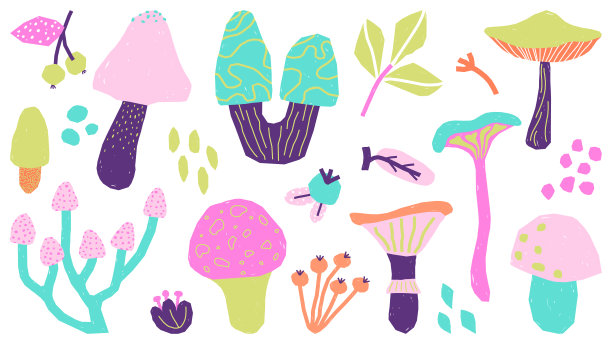 20自然元素图片下载