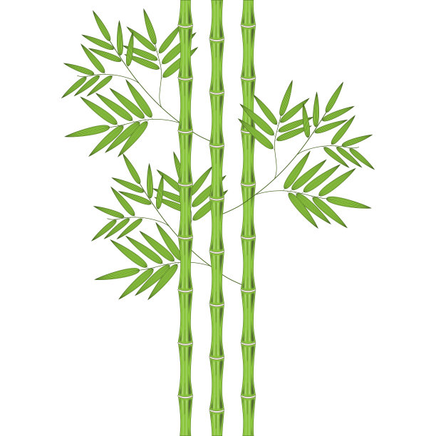 带叶竹笋图片下载