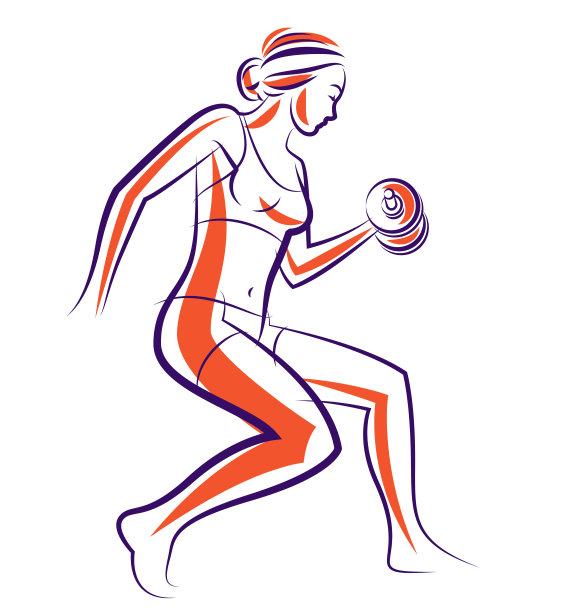 年轻迷人的女人与完美的肌肉身体训练向量插图孤立，运动锻炼积极的生活方式。图片下载