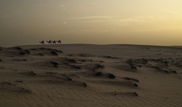 伦波尔沙漠的沙丘，圣路易斯附近，塞内加尔日落时分图片下载