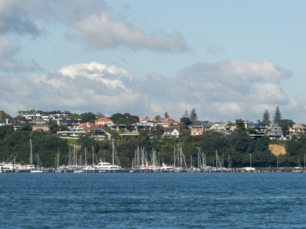 新西兰奥克兰市中心的海滨住宅图片下载