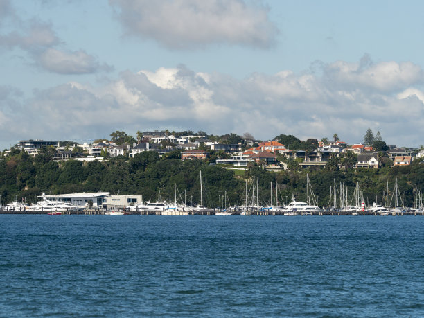 新西兰奥克兰市中心的海滨住宅图片下载
