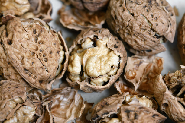 核桃的背景图片下载