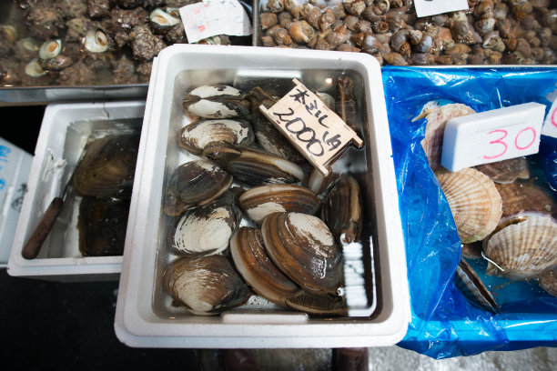 日本东京，鱼市上的新鲜海鲜图片下载