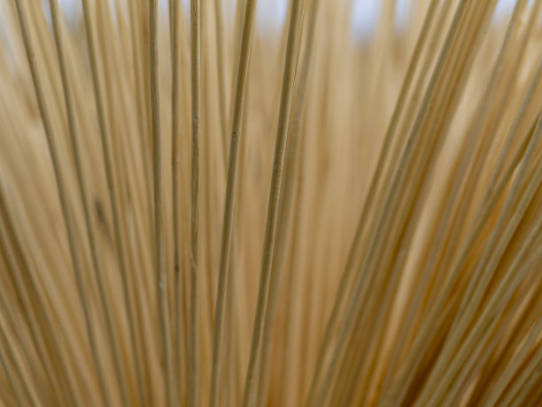 竹筷子图片下载