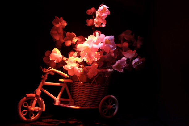 花和自行车图片下载