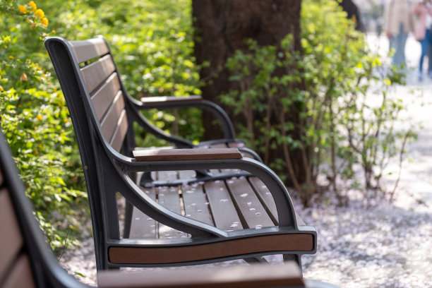 在韩国首尔永登浦汝矣岛春花节上，一张长凳上可以看到春天的樱花图片下载