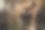 健身女子在漆黑的健身房里举哑铃，享受训练过程。运动、健身、生活方式、以人为本。黑烟背景图片下载
