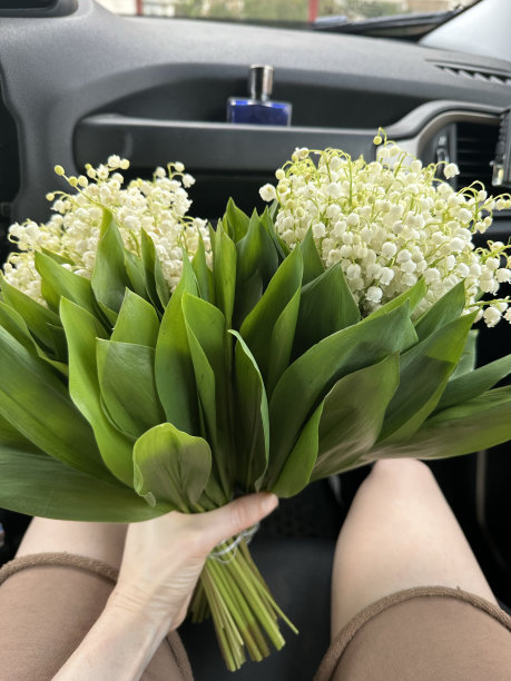 五月百合花，铃兰花图片下载