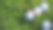 高尔夫球在绿色的草地在傍晚高尔夫球场与阳光的背景。图片下载