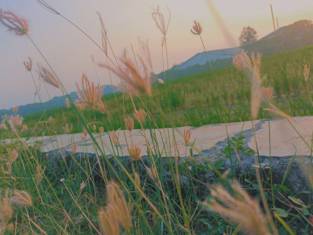 散景背景图片下载