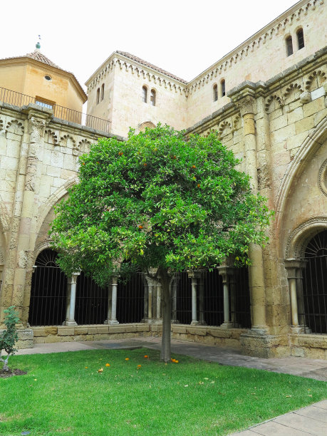 西班牙塔拉戈纳的中世纪天主教堂圣玛丽的建筑细节。图片下载
