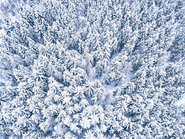 天线。冬天森林里的树和雪。从无人机上俯瞰自然背景图片下载