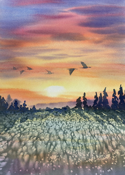 红色的夏日傍晚天空在花园和开花草地水彩背景图片下载