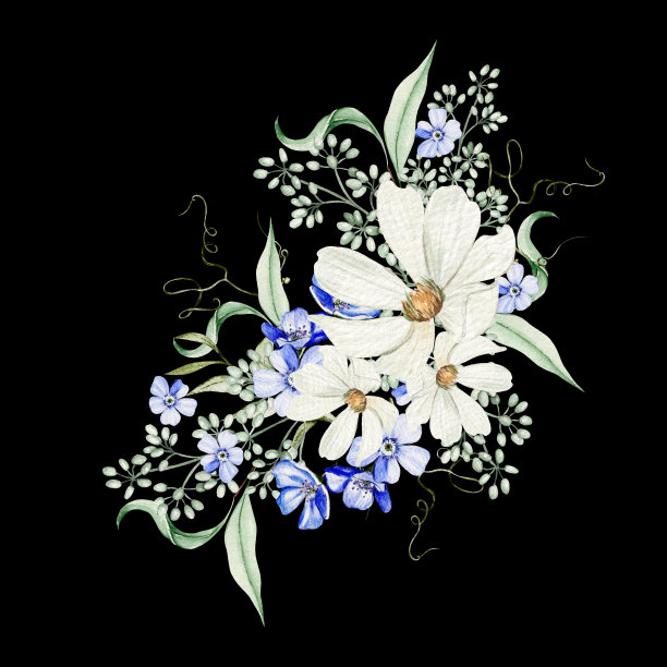 水彩花束带着勿忘我的花儿和甘菊，绿叶。图片下载