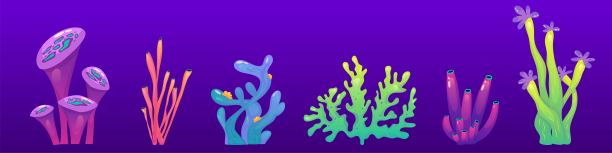 珊瑚礁水下设置的藻类。海藻是海洋植物。珊瑚形成海底动物群。卡通礁孤立。卡通矢量设计。图片下载