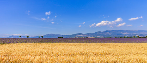 瓦朗索的肥沃平原-法国图片下载