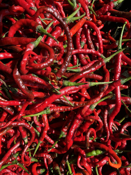 红辣椒图片下载