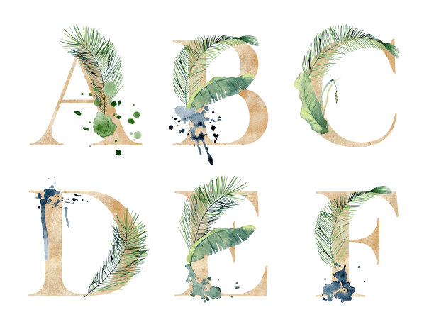 水彩热带字母。图片下载