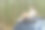 一名亚洲妇女坐在松树林中的汽车车顶架上。图片下载