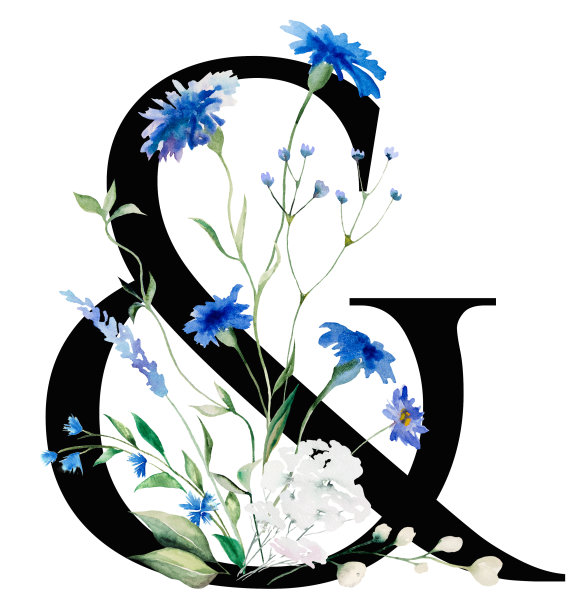 黑色符号&与水彩蓝色矢车菊和野花花束，夏季婚礼元素图片下载
