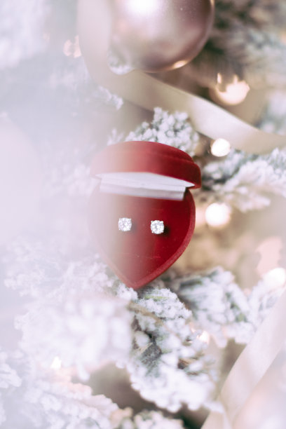 打开圣诞节的包装——送给她的节日礼物图片下载