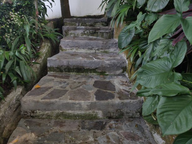 通往山上的石阶图片下载